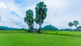 Capture the authentic charm of Vietnam’s cultural scene